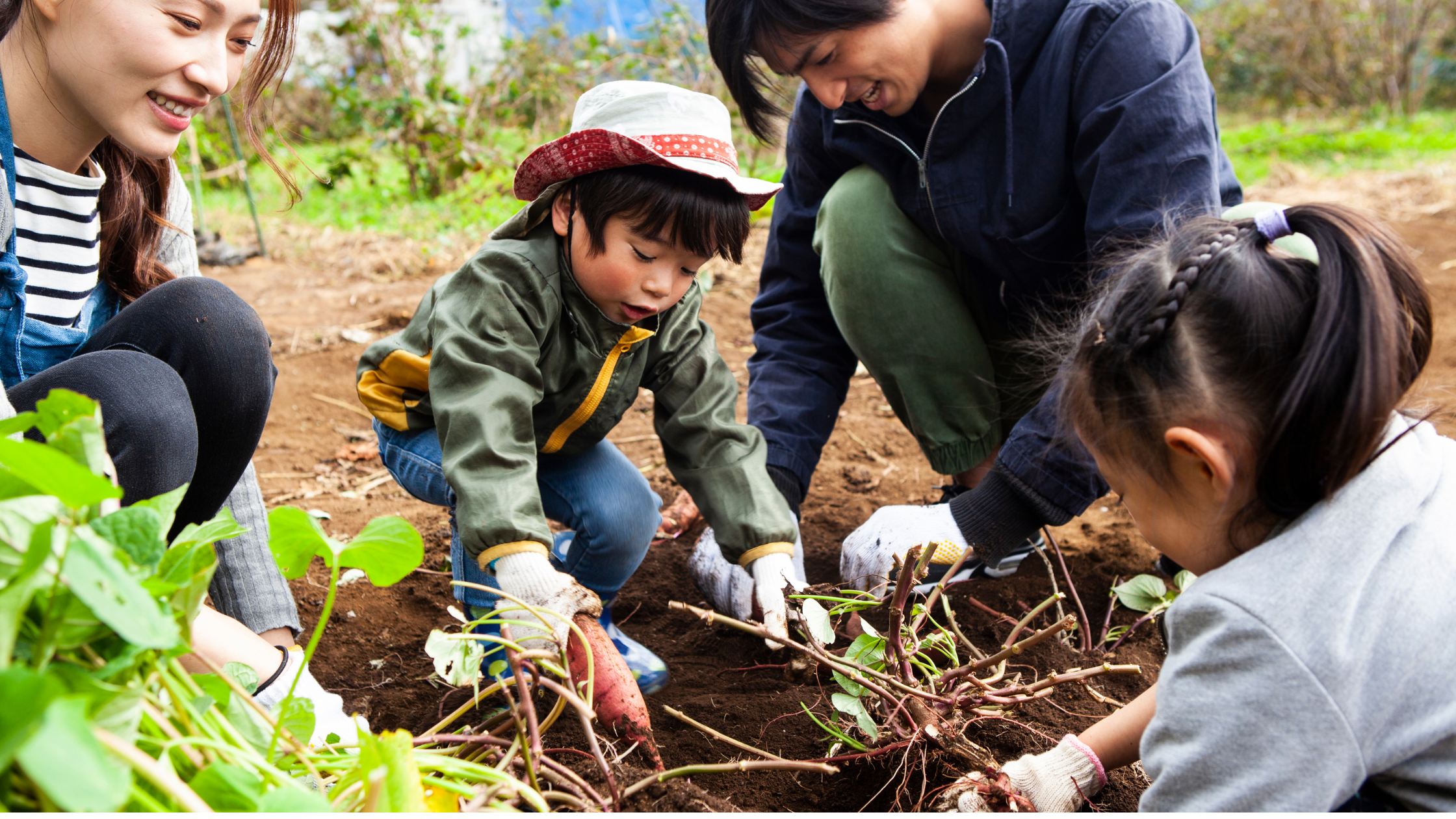 農業体験イベント